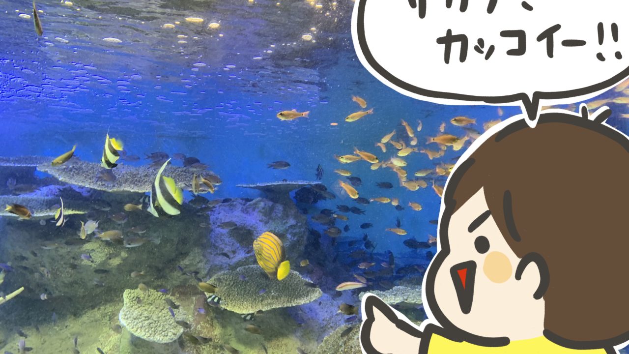水族館